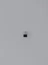 7976.webp